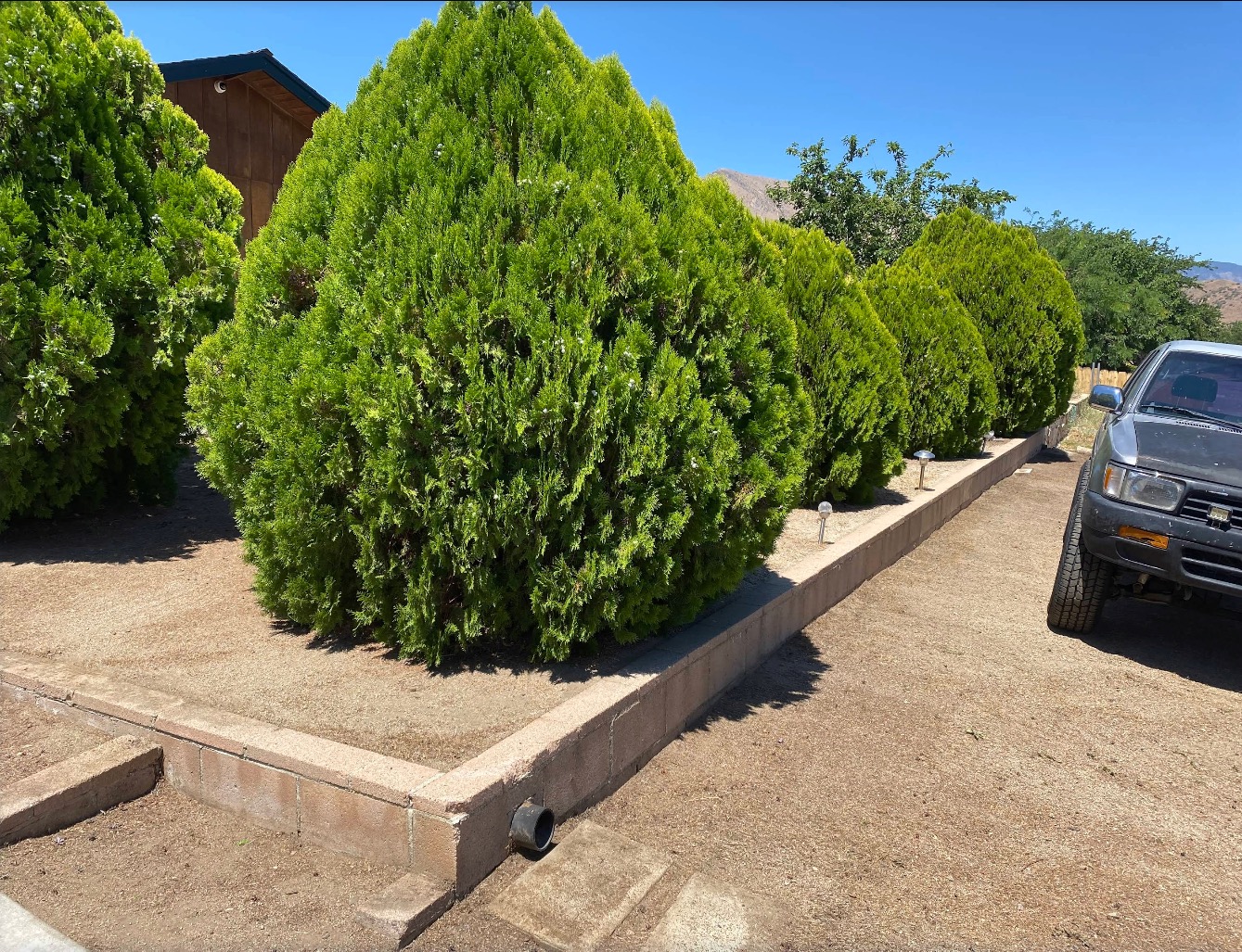 WeMow760 trimmed shrubs